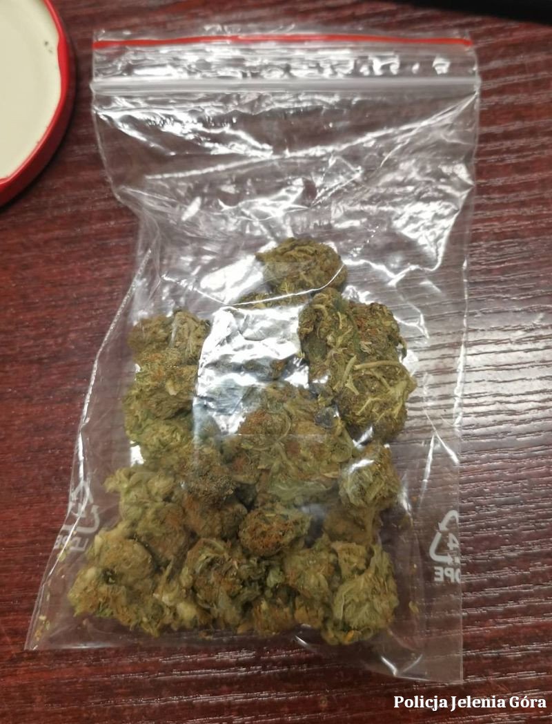 podroz-z-marihuana-z-finaem-w-rowie-108059