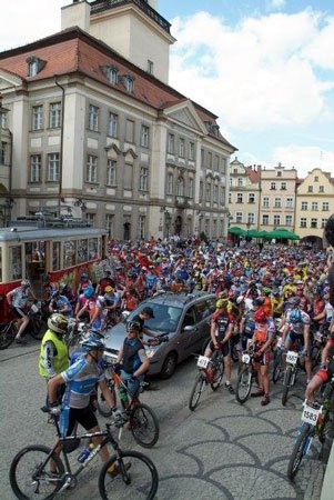 maraton-z-gwiazdami-10806