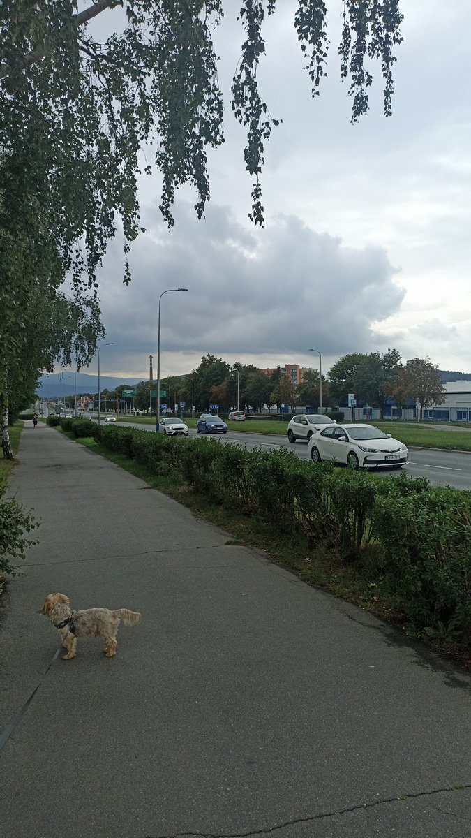 ucieka-policji-trafi-za-kratki-108091