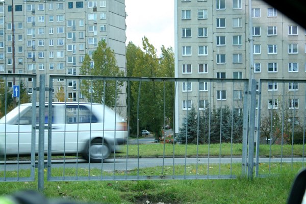 samobojcy-na-jezdni-10814