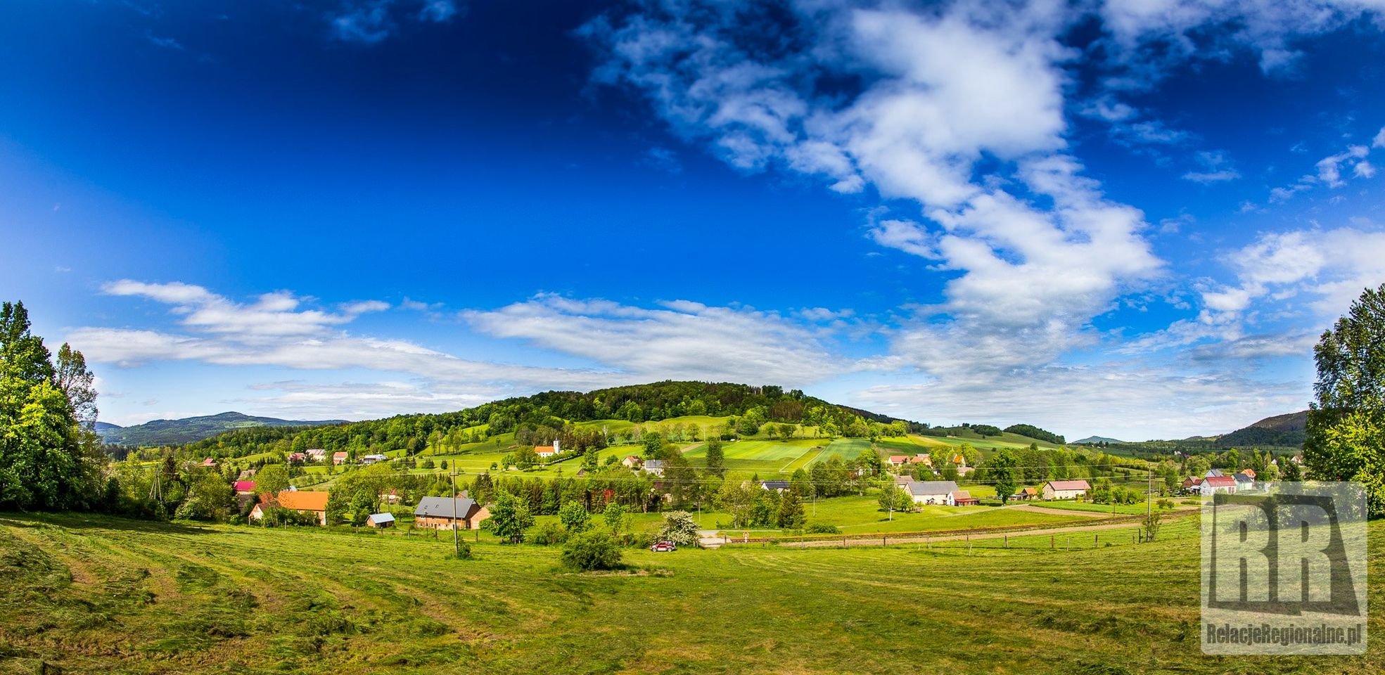 wybory-sotysa-108154