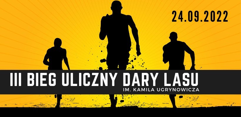 uliczne-dary-lasu-108174
