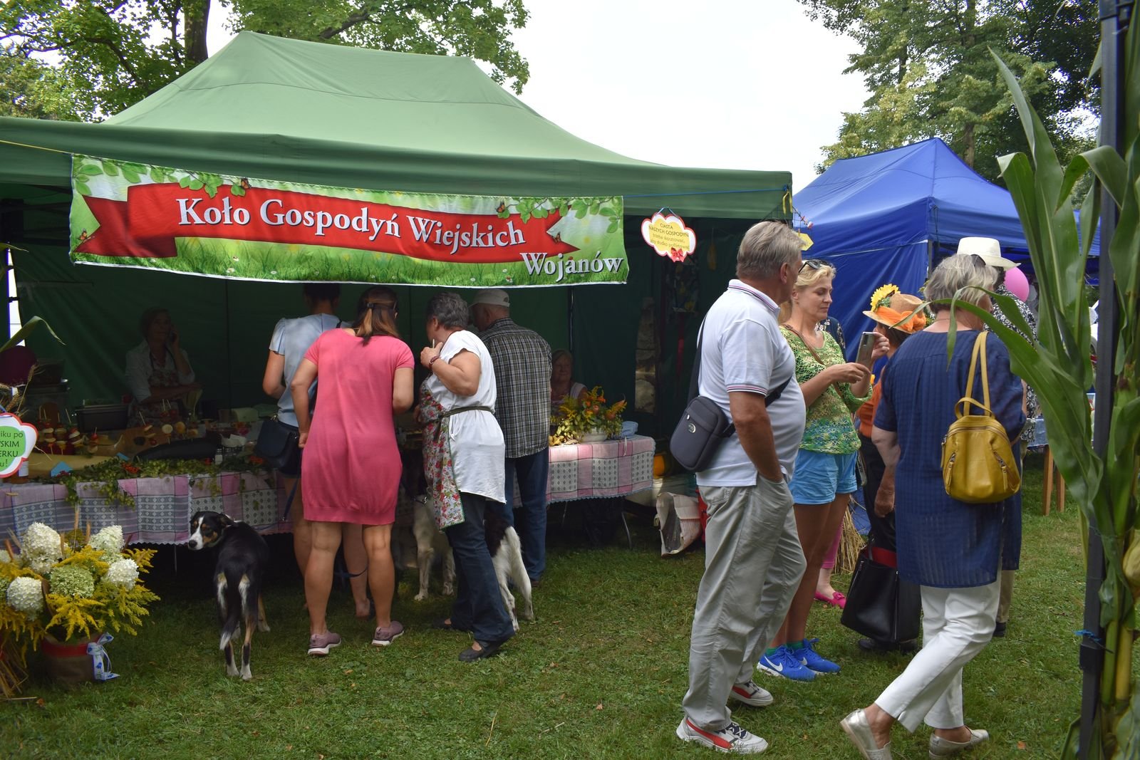 gminne-dozynki-w-mysakowicach-108282