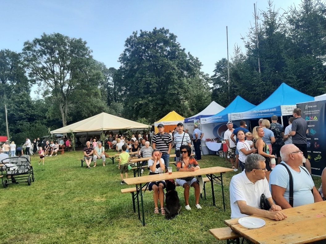 drugi-festiwal-mleka-z-bogatym-programem-108292