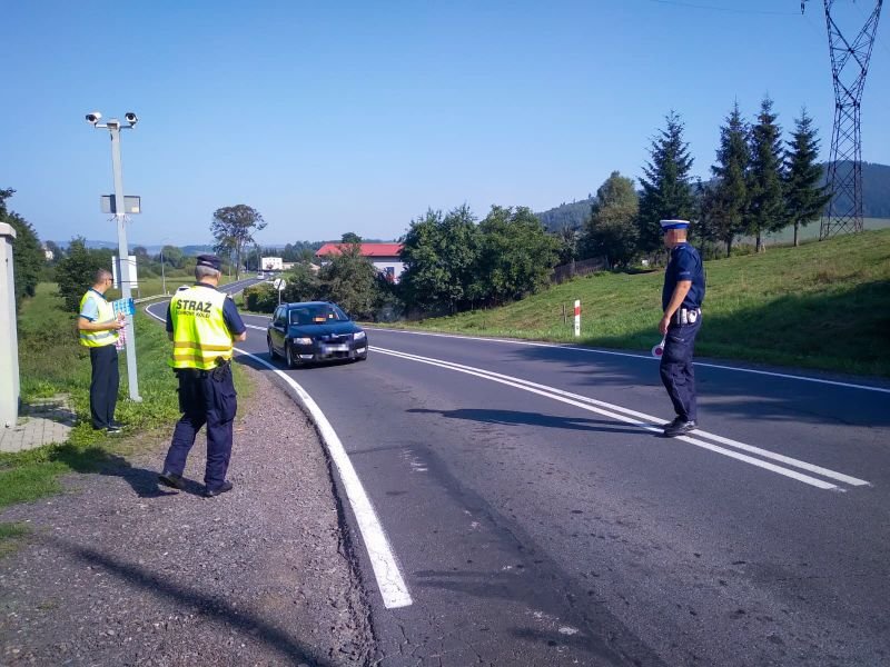 wspolna-praca-suzb-108364