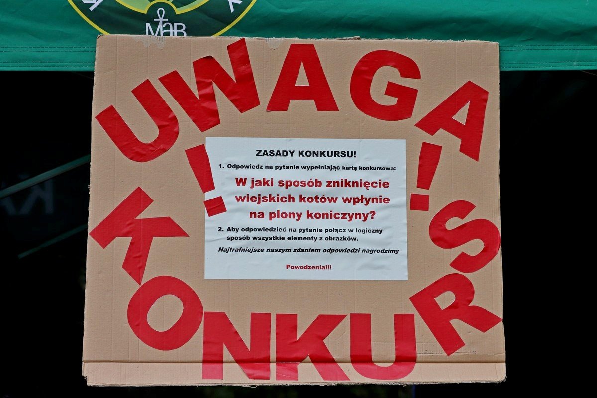 z-natura-na-pikniku-kpn-108470