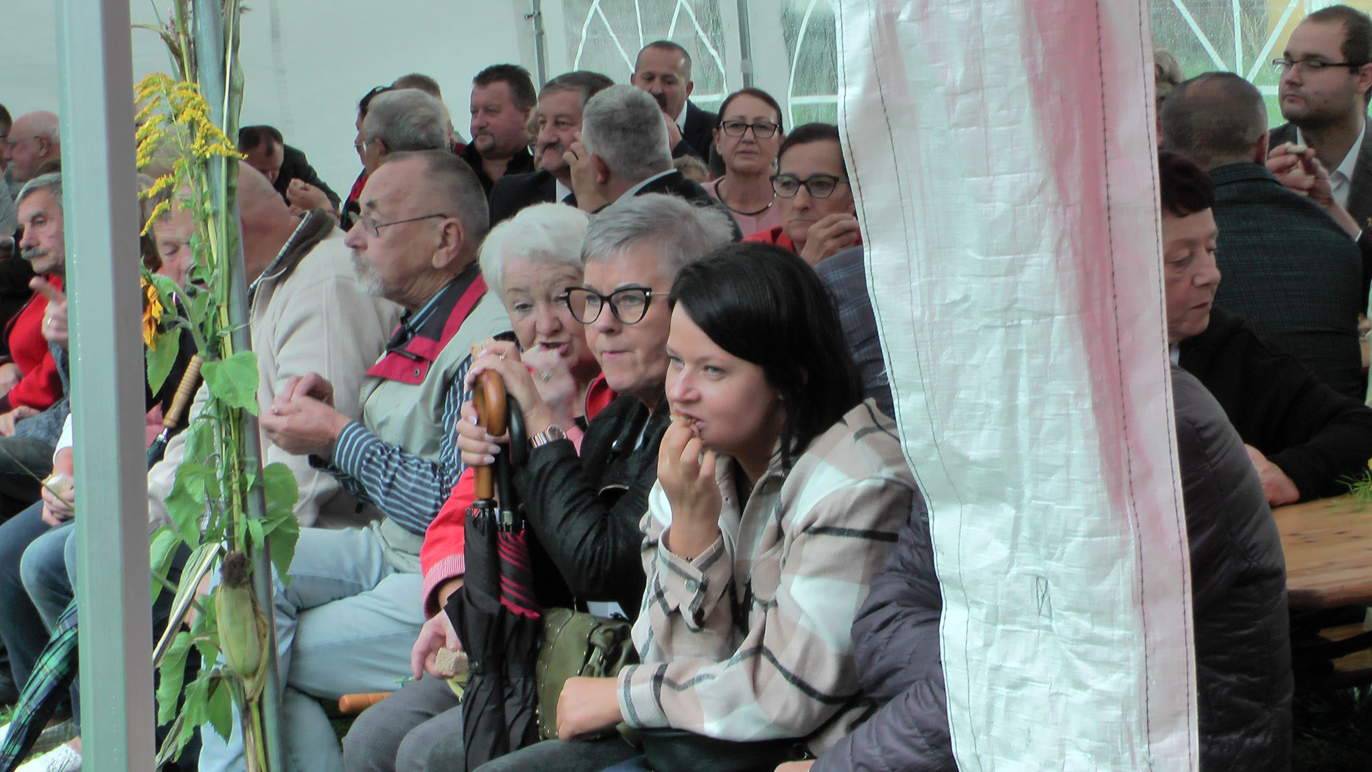uroczyste-swieto-plonow-w-pisarzowicach-108590