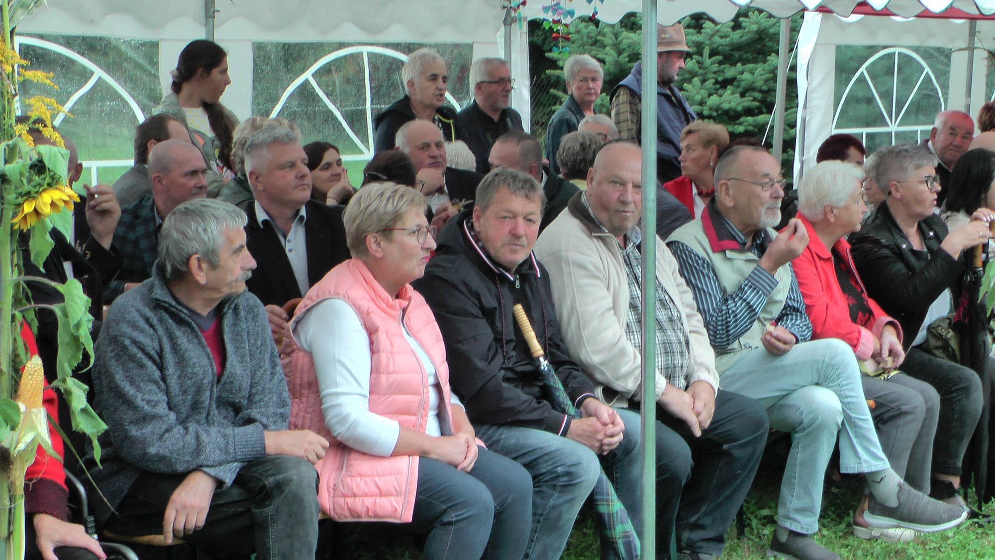 uroczyste-swieto-plonow-w-pisarzowicach-108590