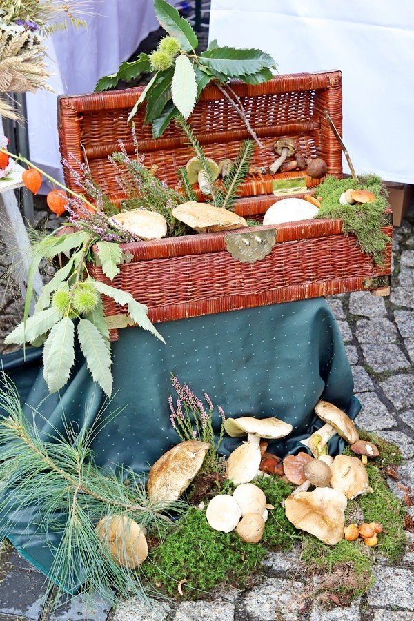 smacznie-i-pieknie-na-festiwalu-polska-od-kuchni-108602