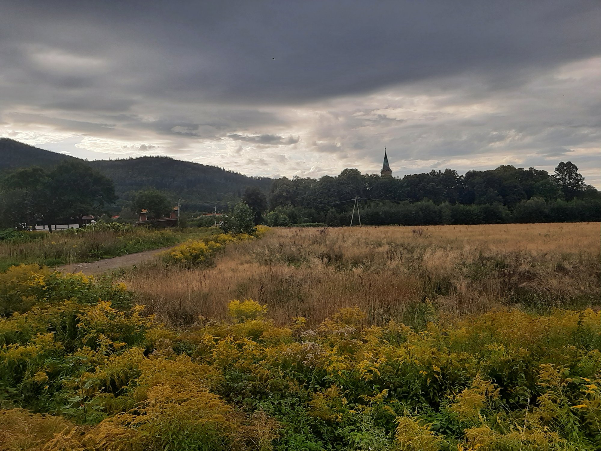 przystanek-karkonosze-nowy-park-handlowy-108650