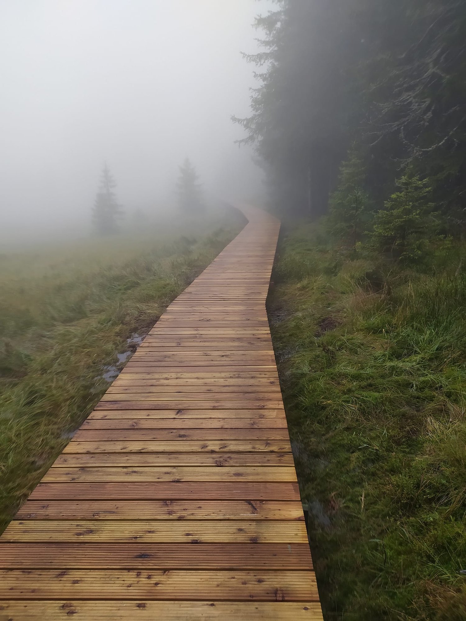 kadki-wymienione-szlak-otwarty-108705