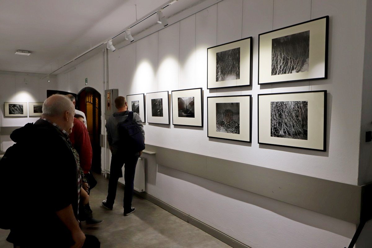 fotografie-wacawa-narkiewicza-na-biennale-108801