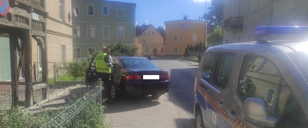kolejni-mistrzowie-parkowania-108807