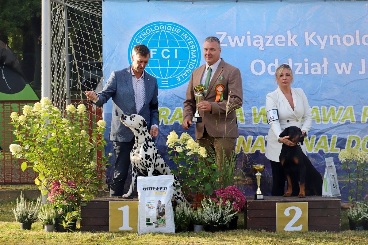 jubileuszowa-wystawa-psow-rasowych-108846