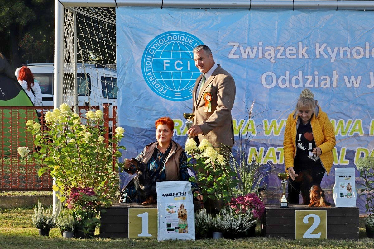 jubileuszowa-wystawa-psow-rasowych-108846