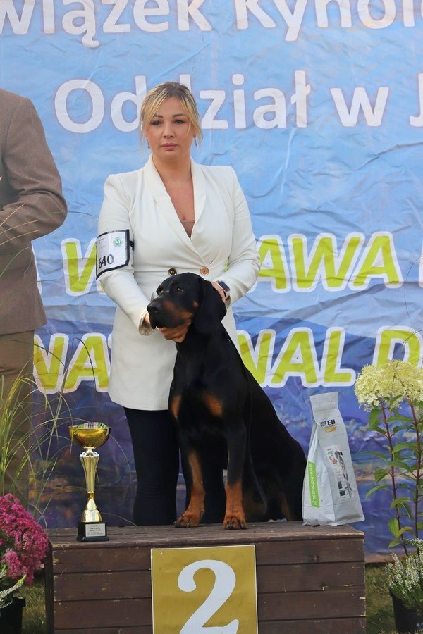 jubileuszowa-wystawa-psow-rasowych-108846