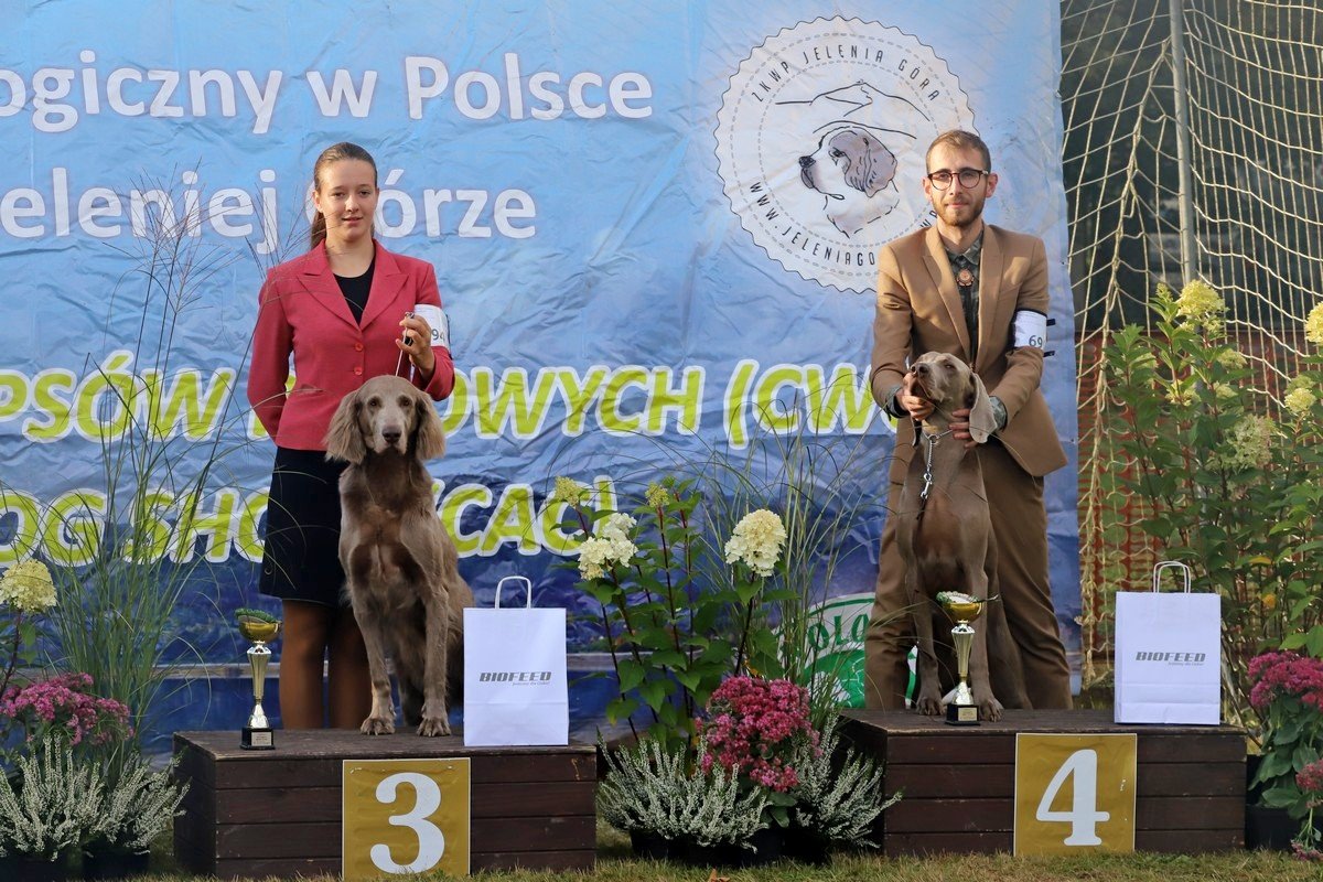 jubileuszowa-wystawa-psow-rasowych-108846