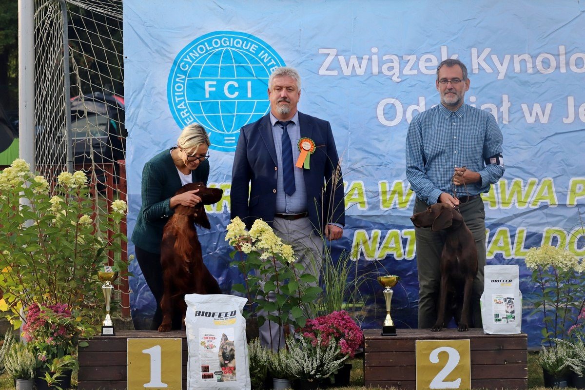 jubileuszowa-wystawa-psow-rasowych-108846