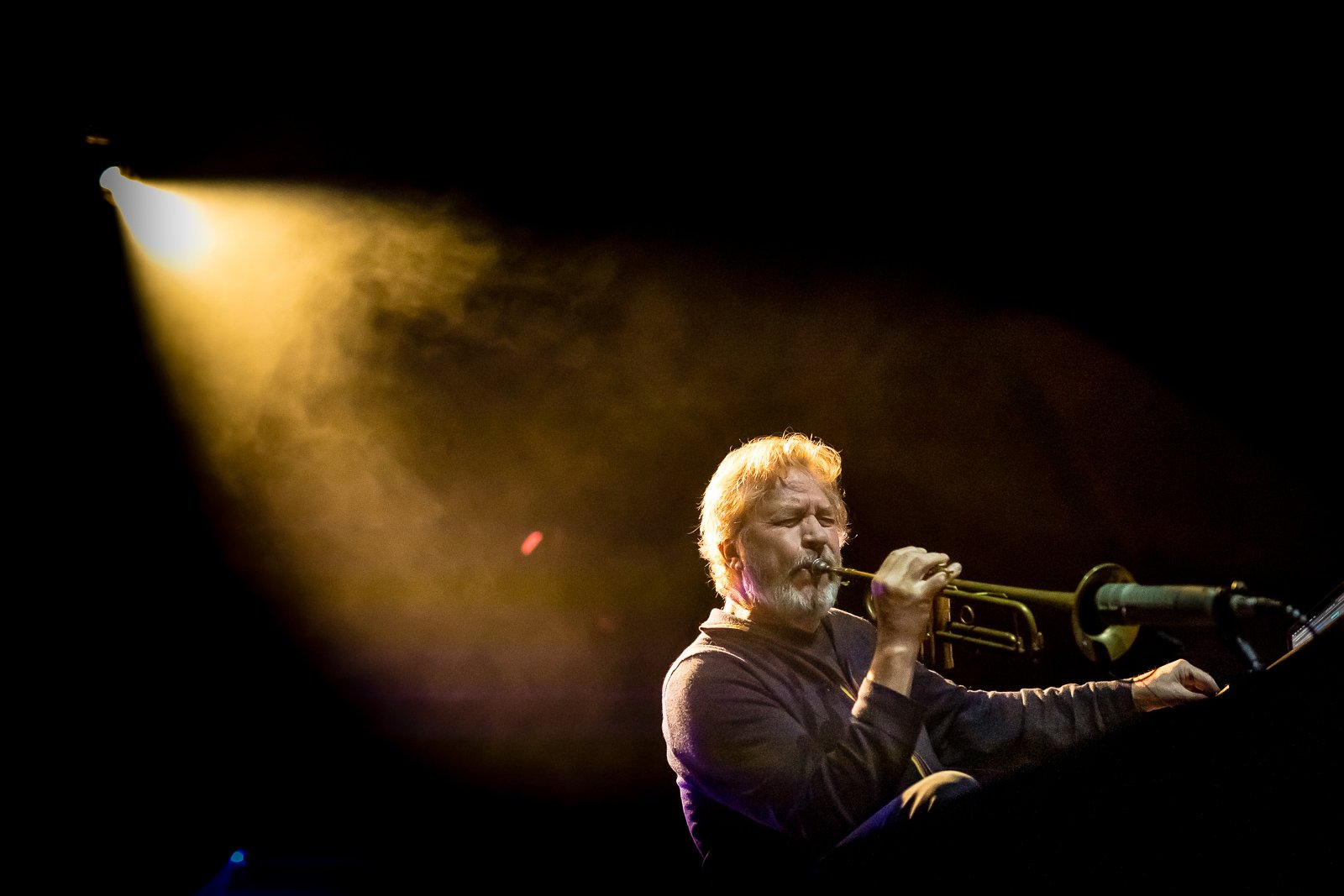 oficjalny-start-krokus-jazz-festiwalu-108940