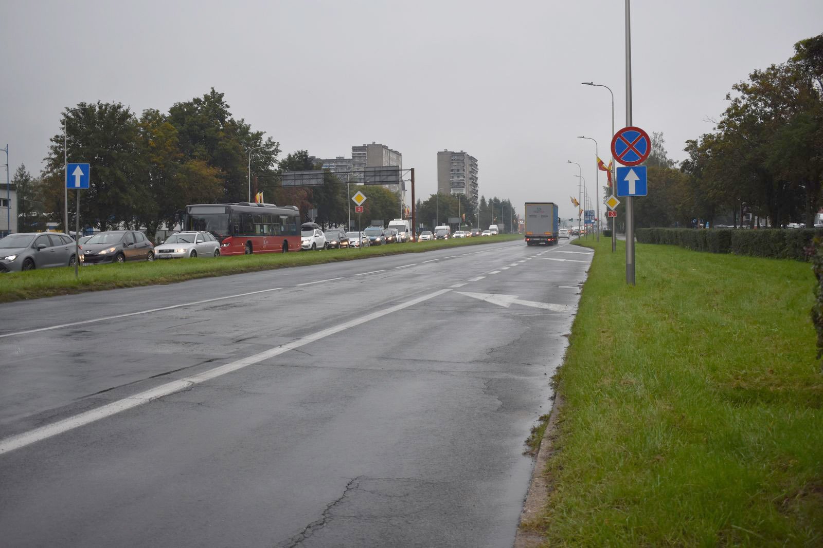 chaszcze-juz-wykoszone-109034