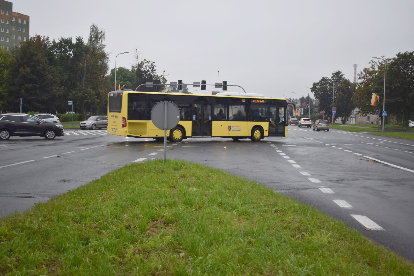 chaszcze-juz-wykoszone-109034
