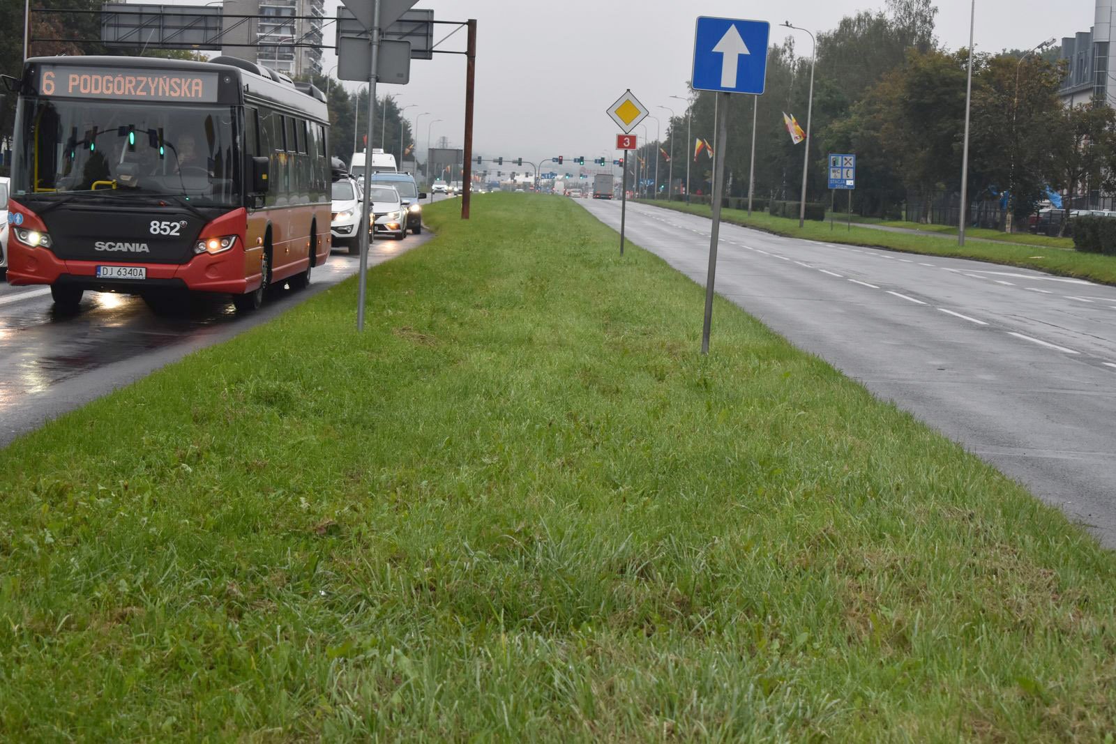 chaszcze-juz-wykoszone-109034