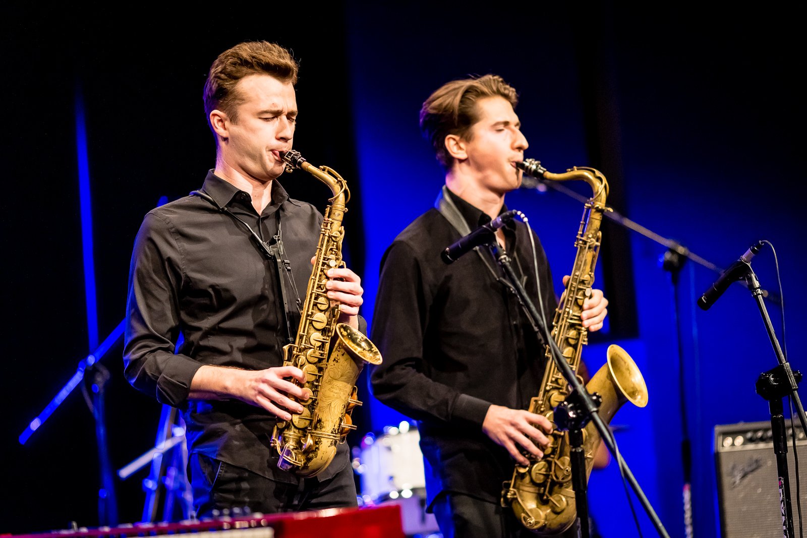 horntet-ze-zotym-krokusem-109043