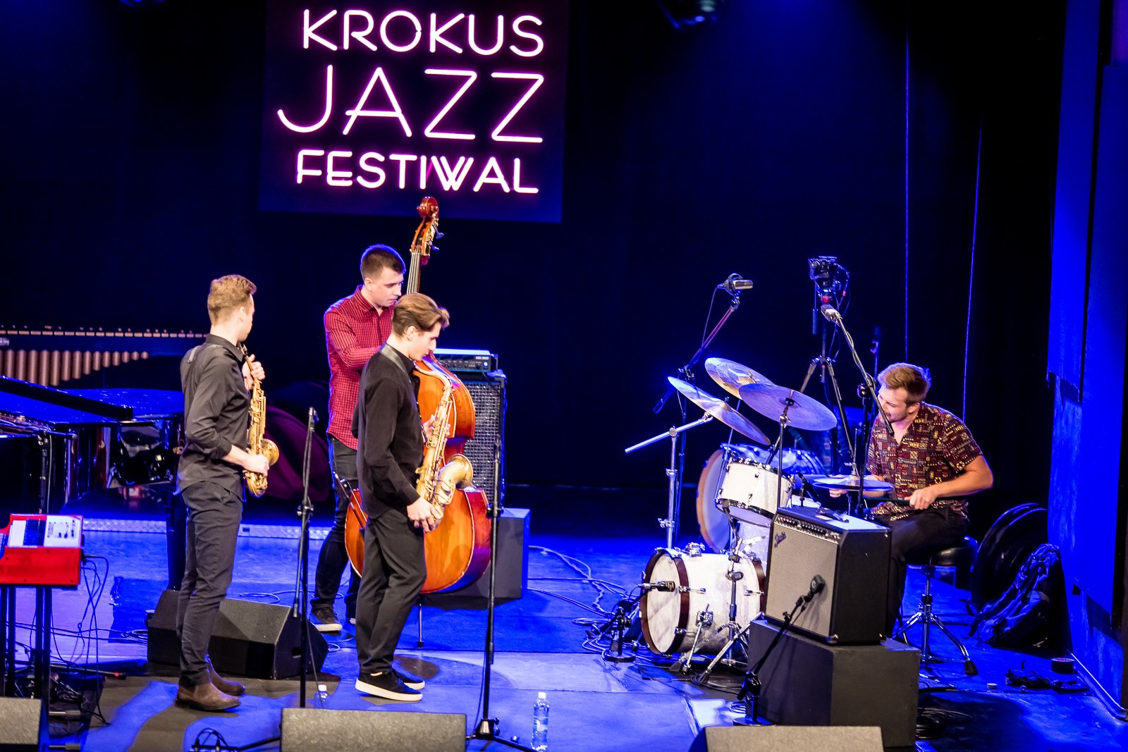 horntet-ze-zotym-krokusem-109043