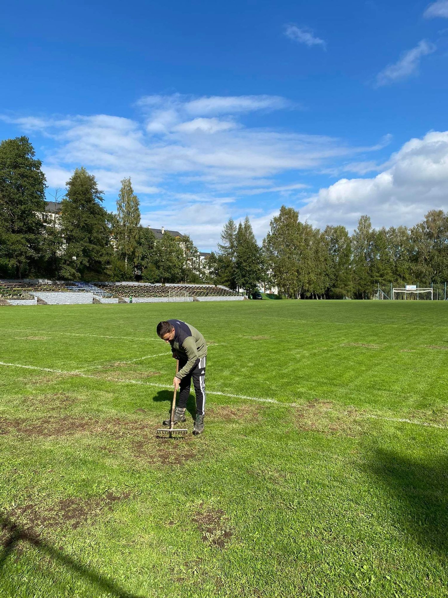 dziki-zniszczyy-murawe-stadionu-w-swieradowie-109079