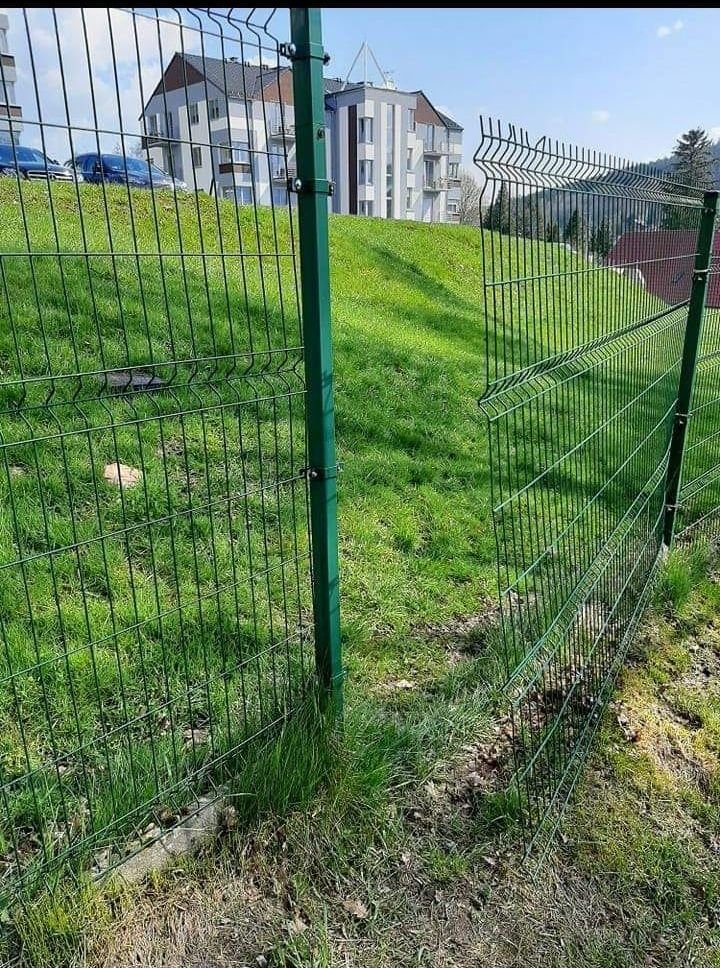 dziki-zniszczyy-murawe-stadionu-w-swieradowie-109079
