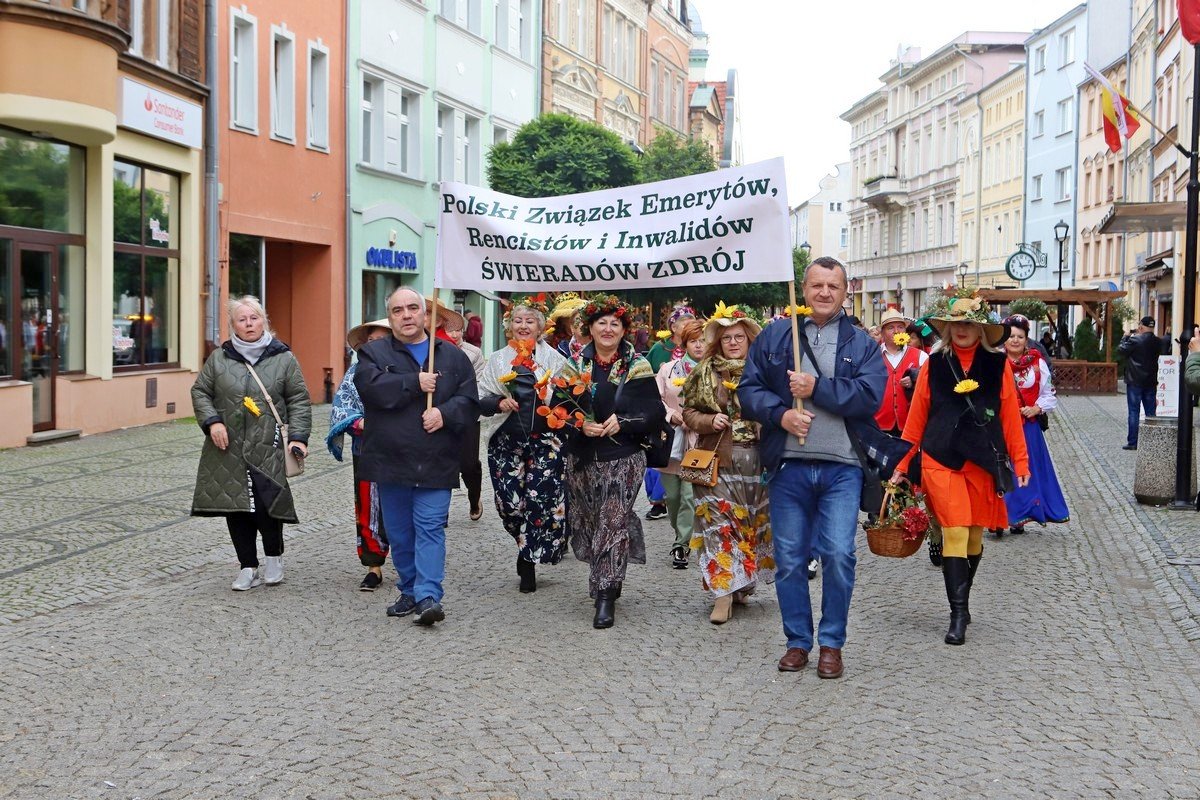 miasto-w-rekach-seniorow-109210