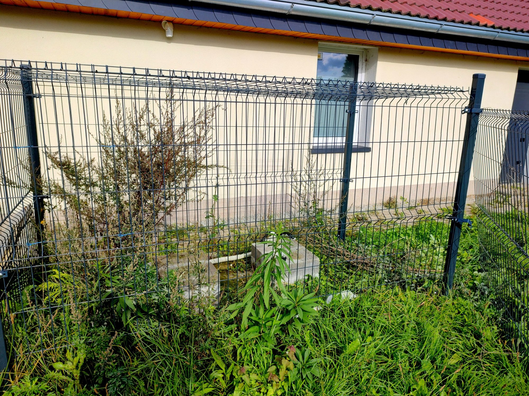 zodzieje-na-stadionie-109227