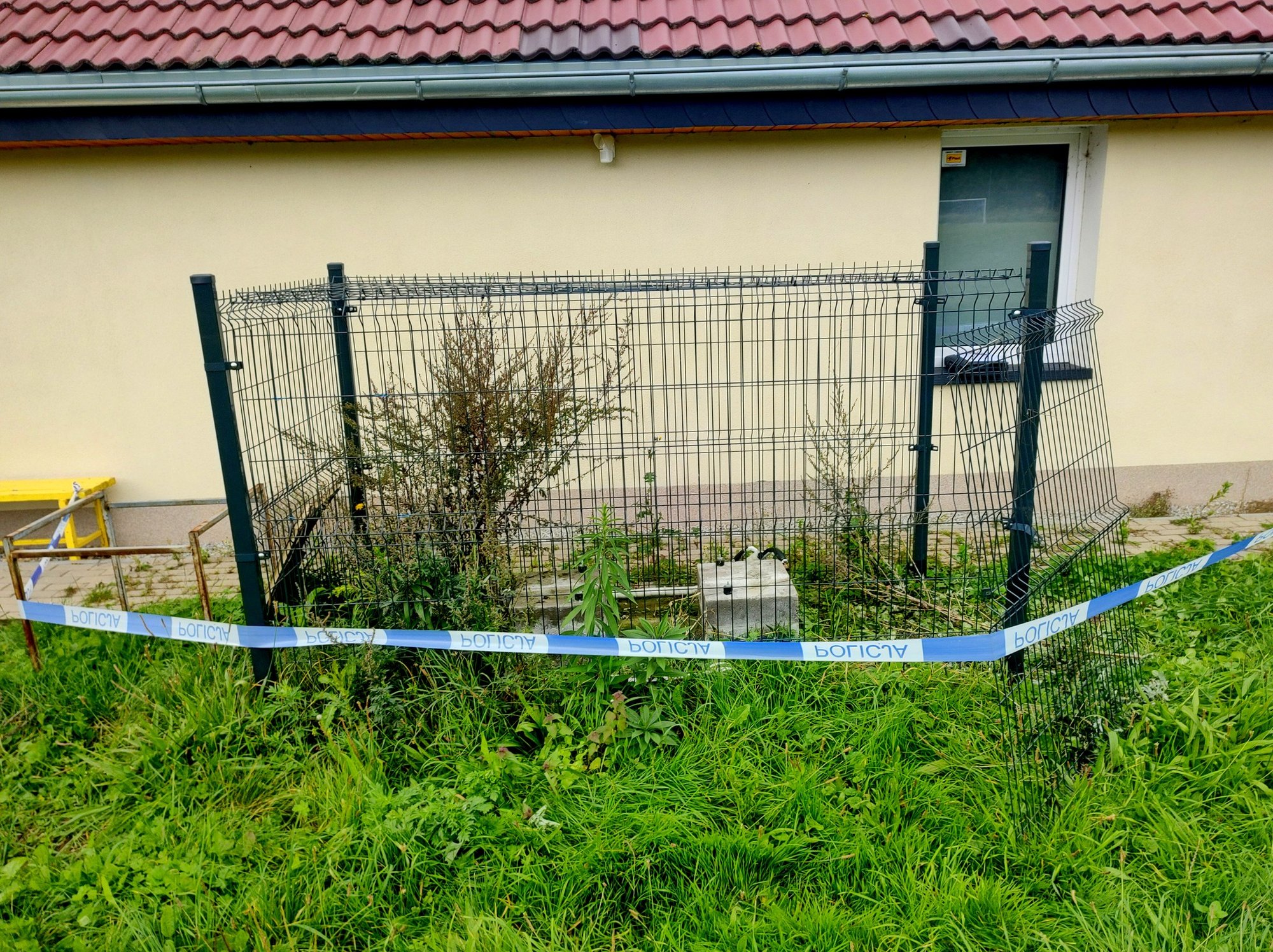zodzieje-na-stadionie-109227