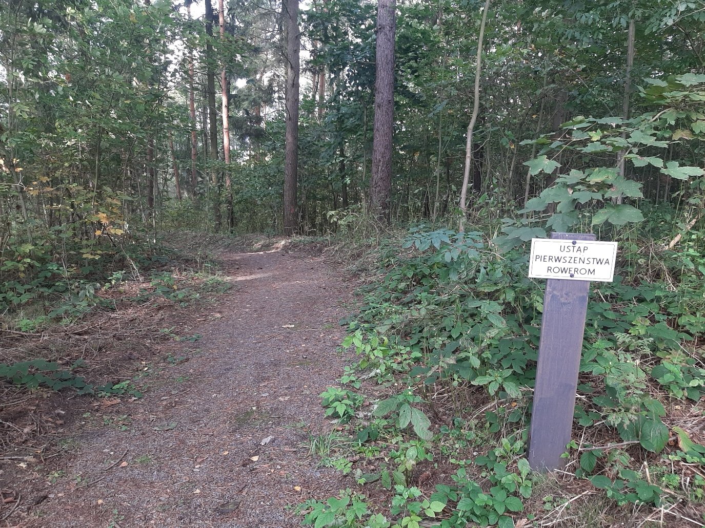 z-bo-trasa-rowerowa-109243