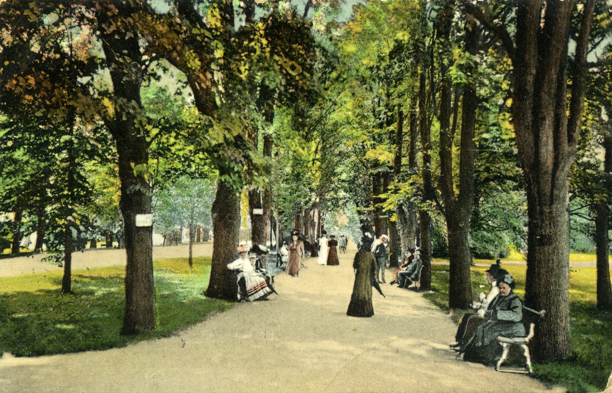 cieplice-ekskluzywny-salon-jeleniej-gory-109315