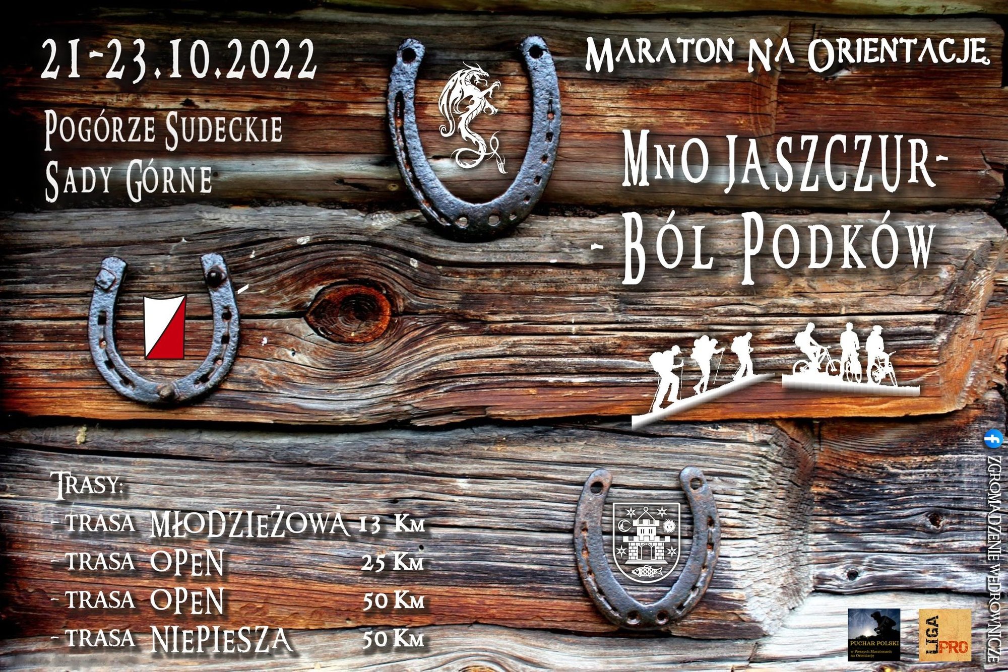 jaszczur-na-orientacje-109369
