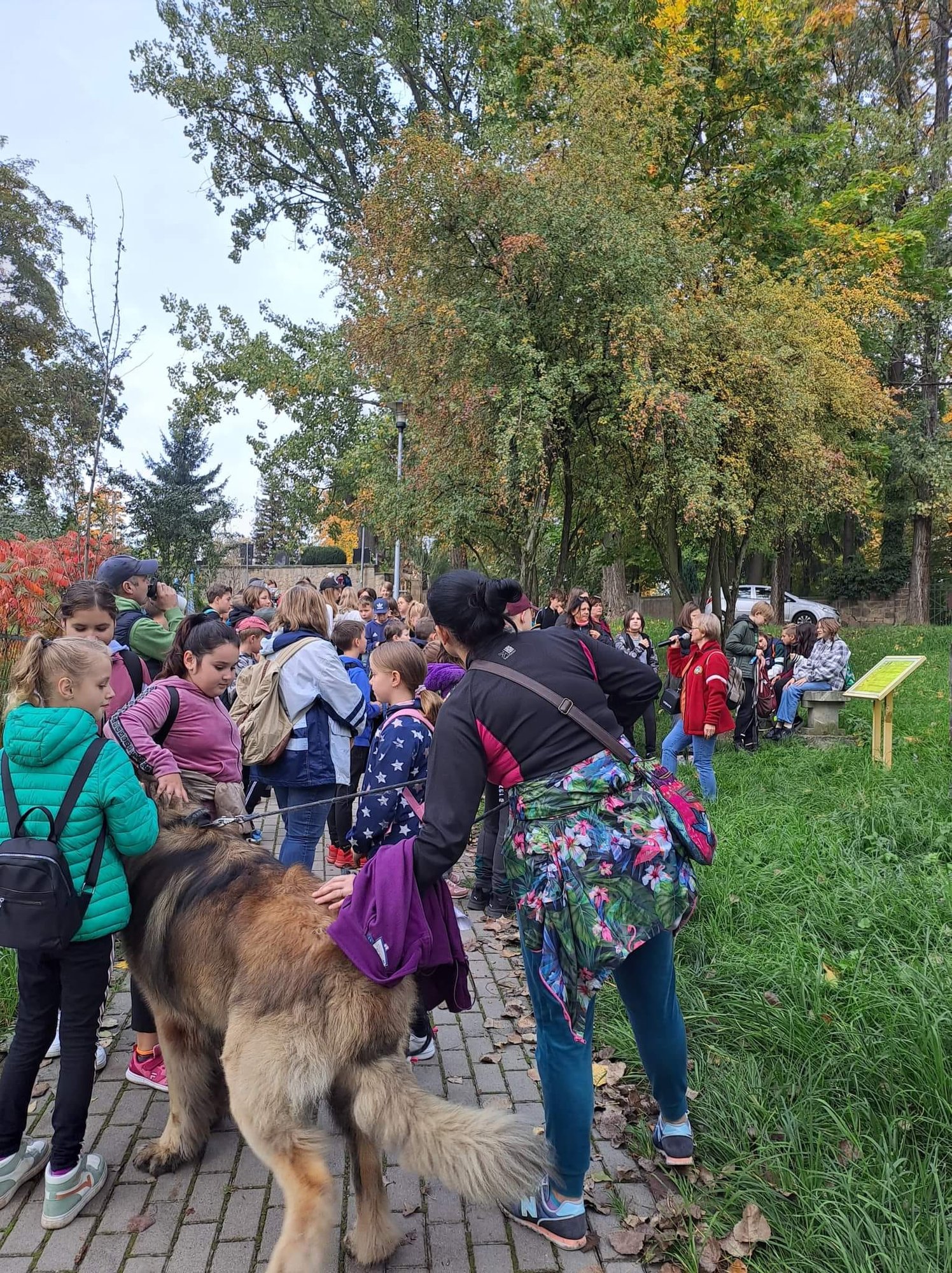szli-sciezka-sw-jadwigi-109481