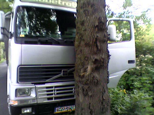 tir-na-drzewie-10956