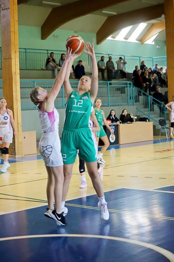 jelenia-pokonaa-zielona-109748