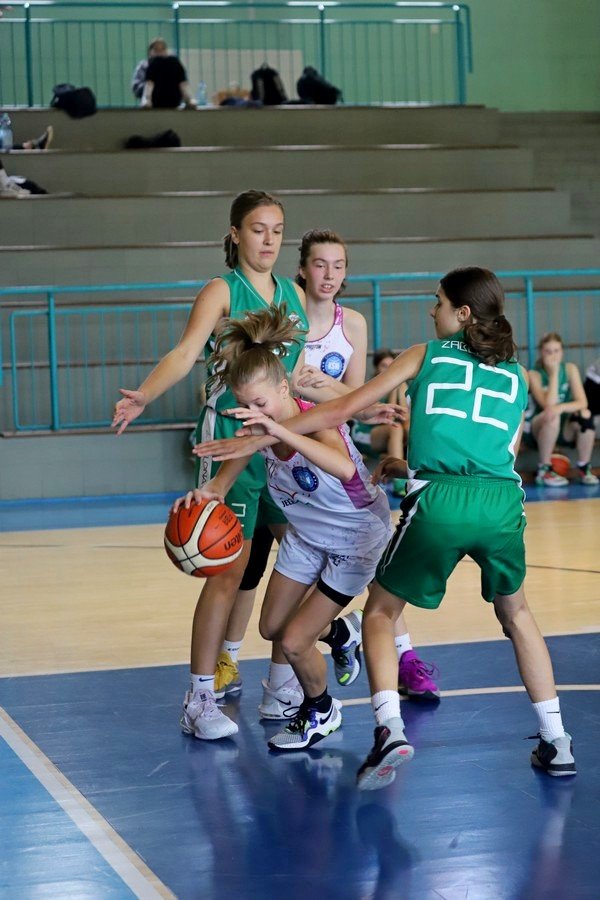 jelenia-pokonaa-zielona-109748