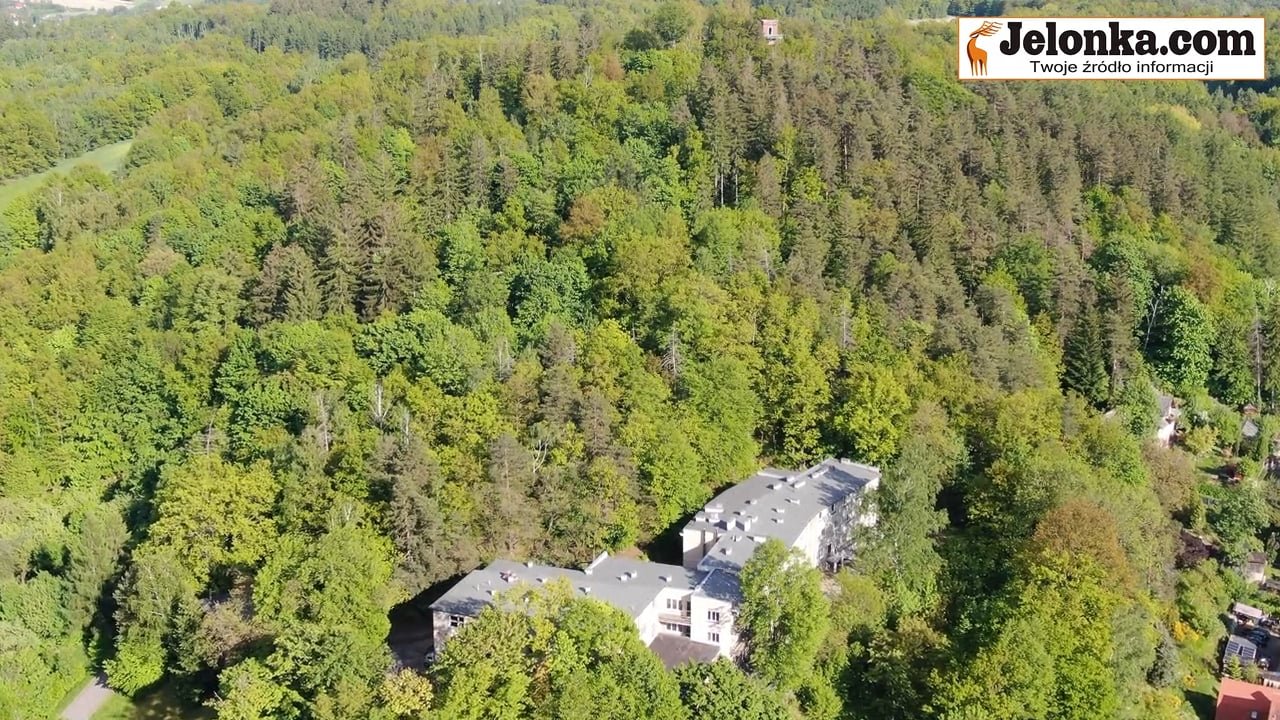 jakie-plany-po-szkole-sredniej-109794
