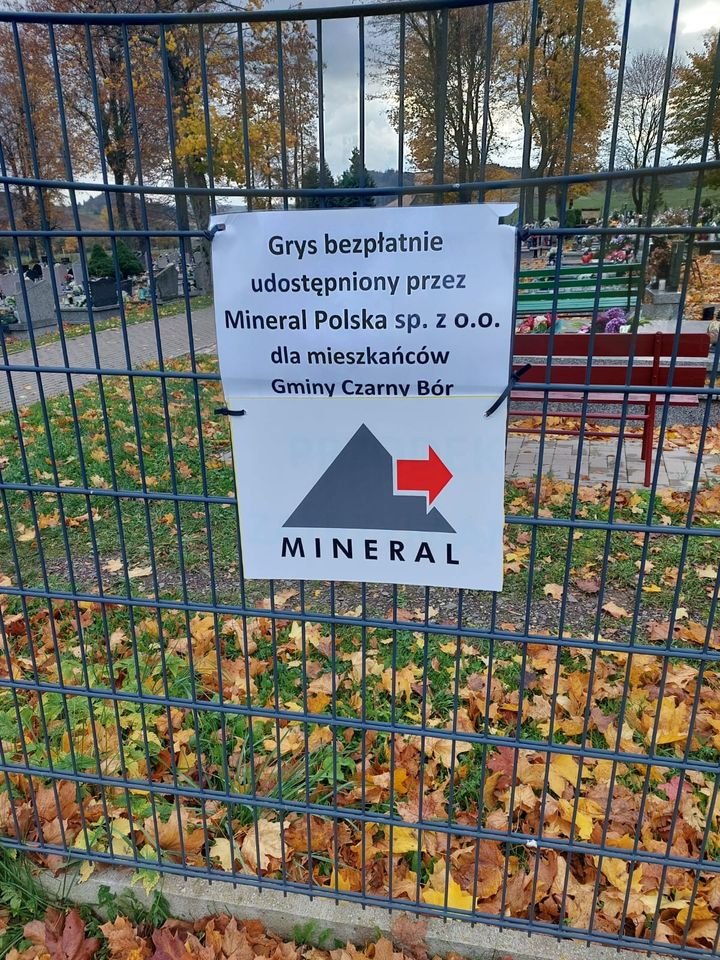 grys-na-wszystkich-swietych-109801