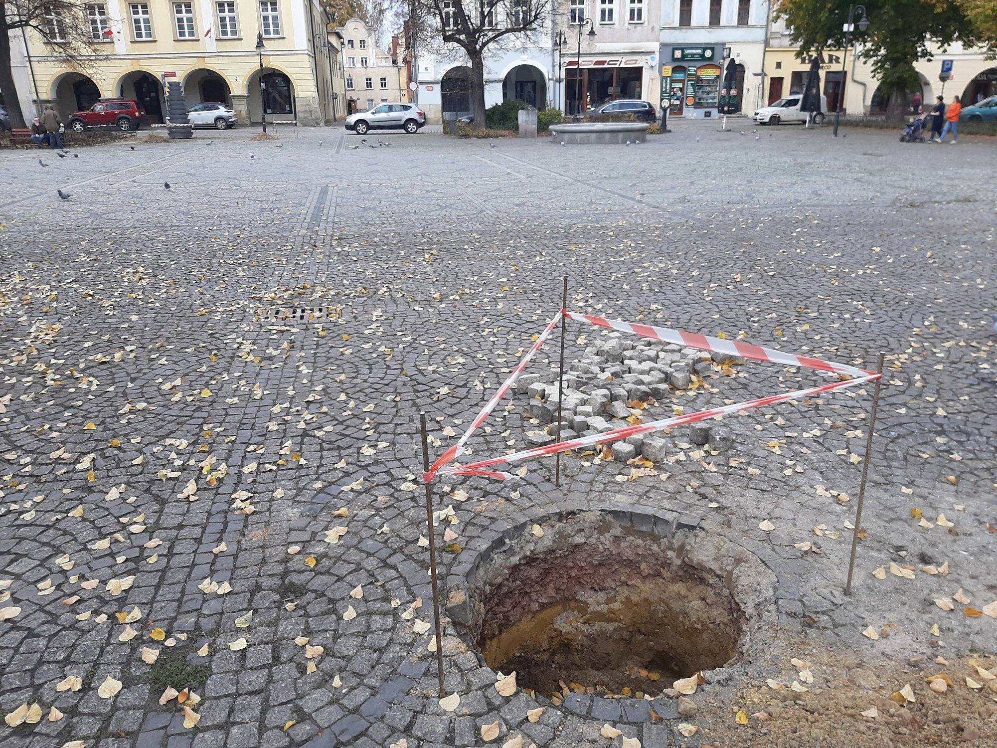 miasto-sie-zazieleni-109819