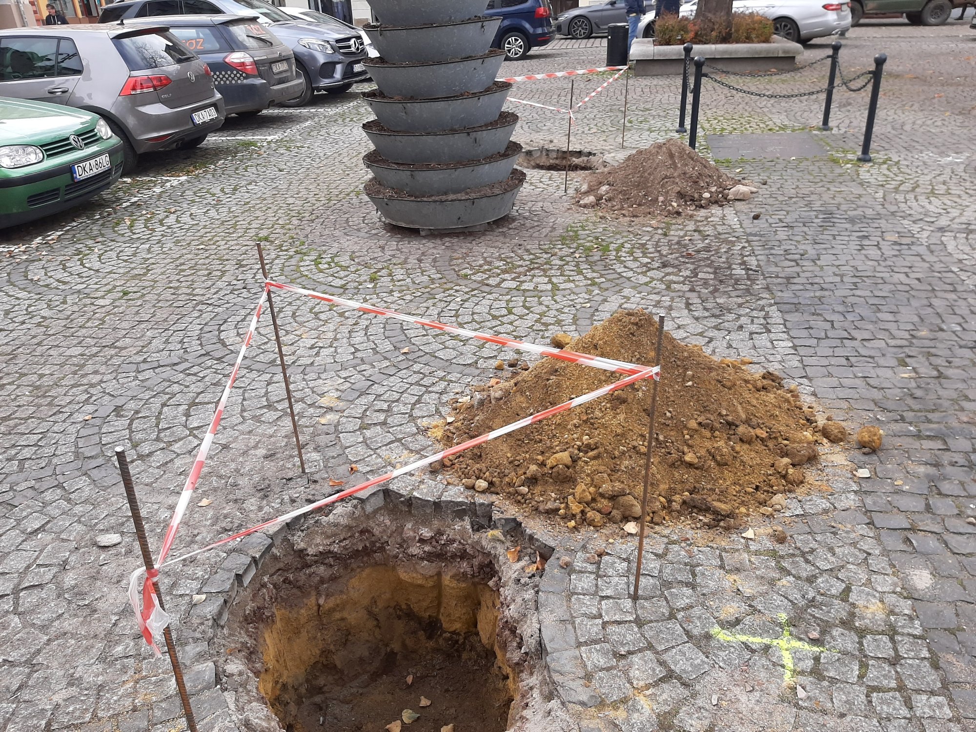 miasto-sie-zazieleni-109819