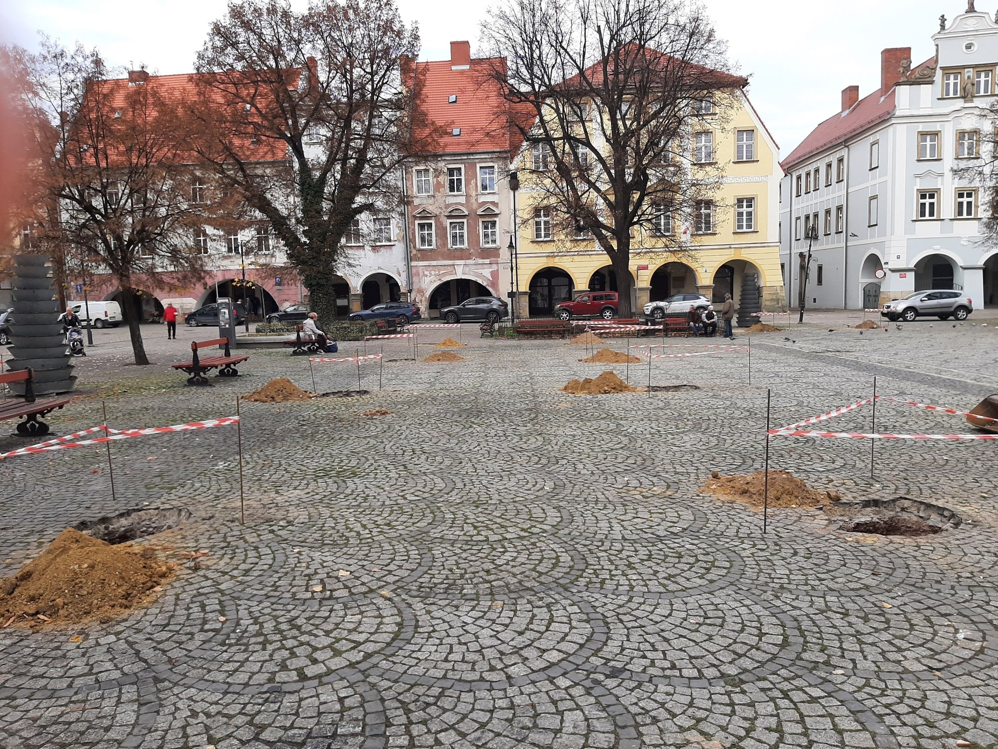 miasto-sie-zazieleni-109819