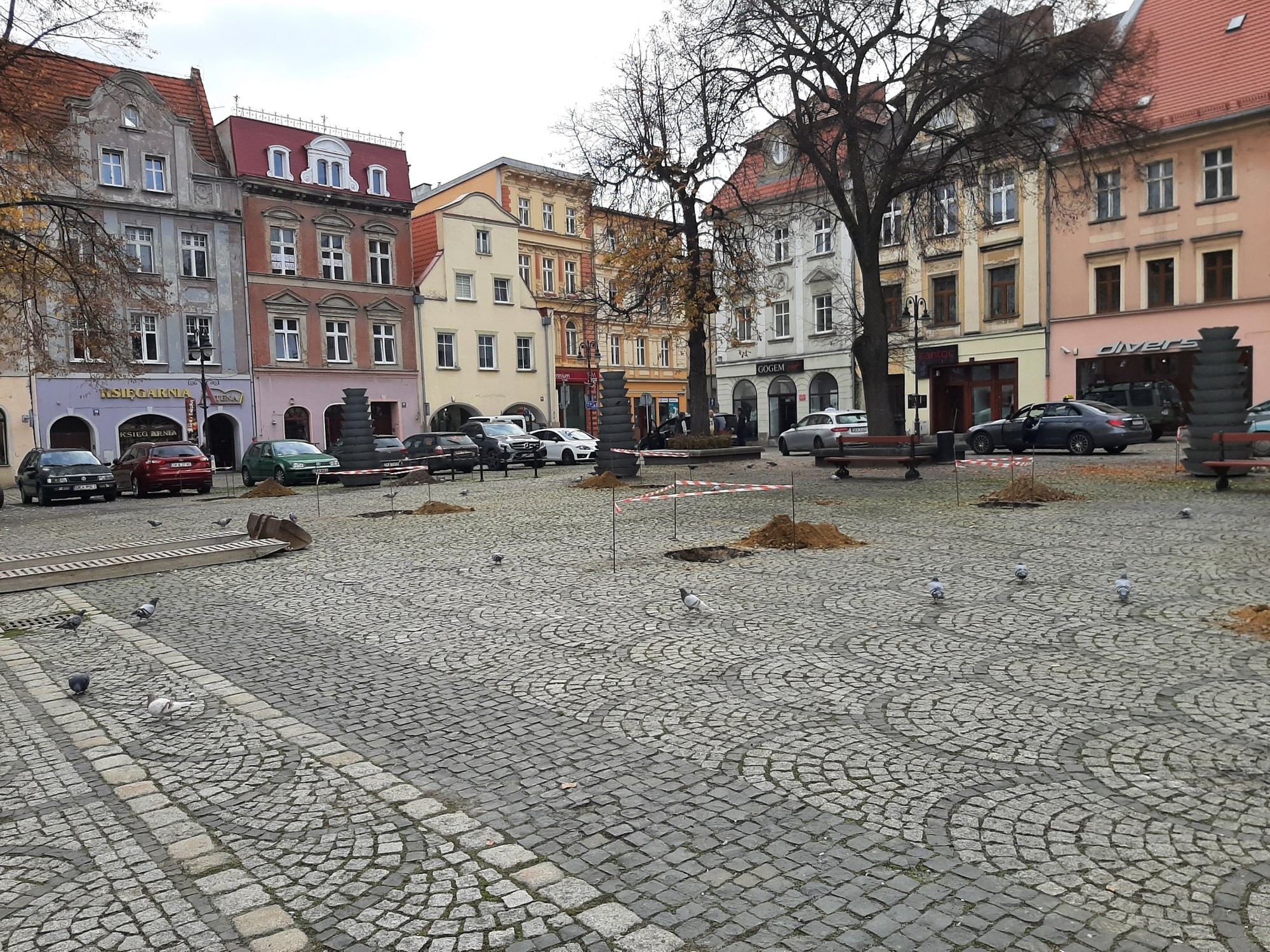 miasto-sie-zazieleni-109819