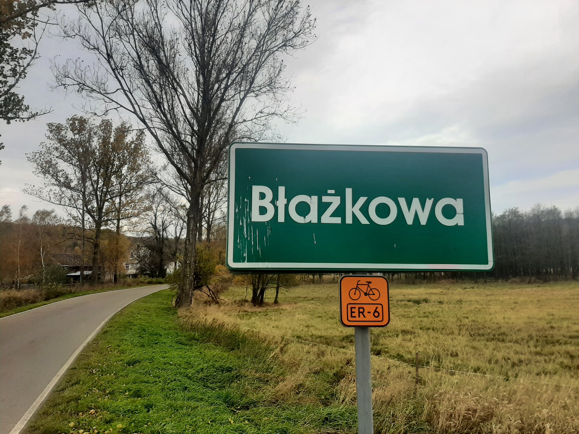 wilk-zagryz-psa-probowa-atakowac-ludzi-109899