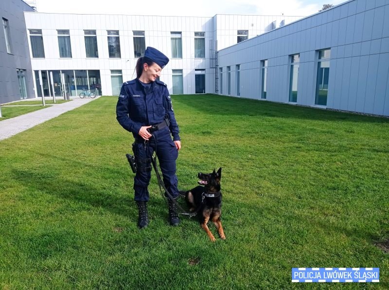 nowa-policjantka-109929
