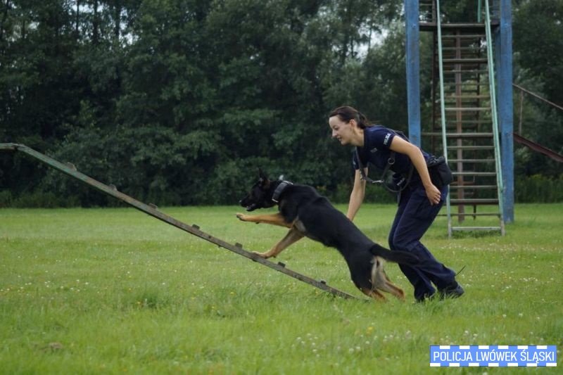 nowa-policjantka-109929