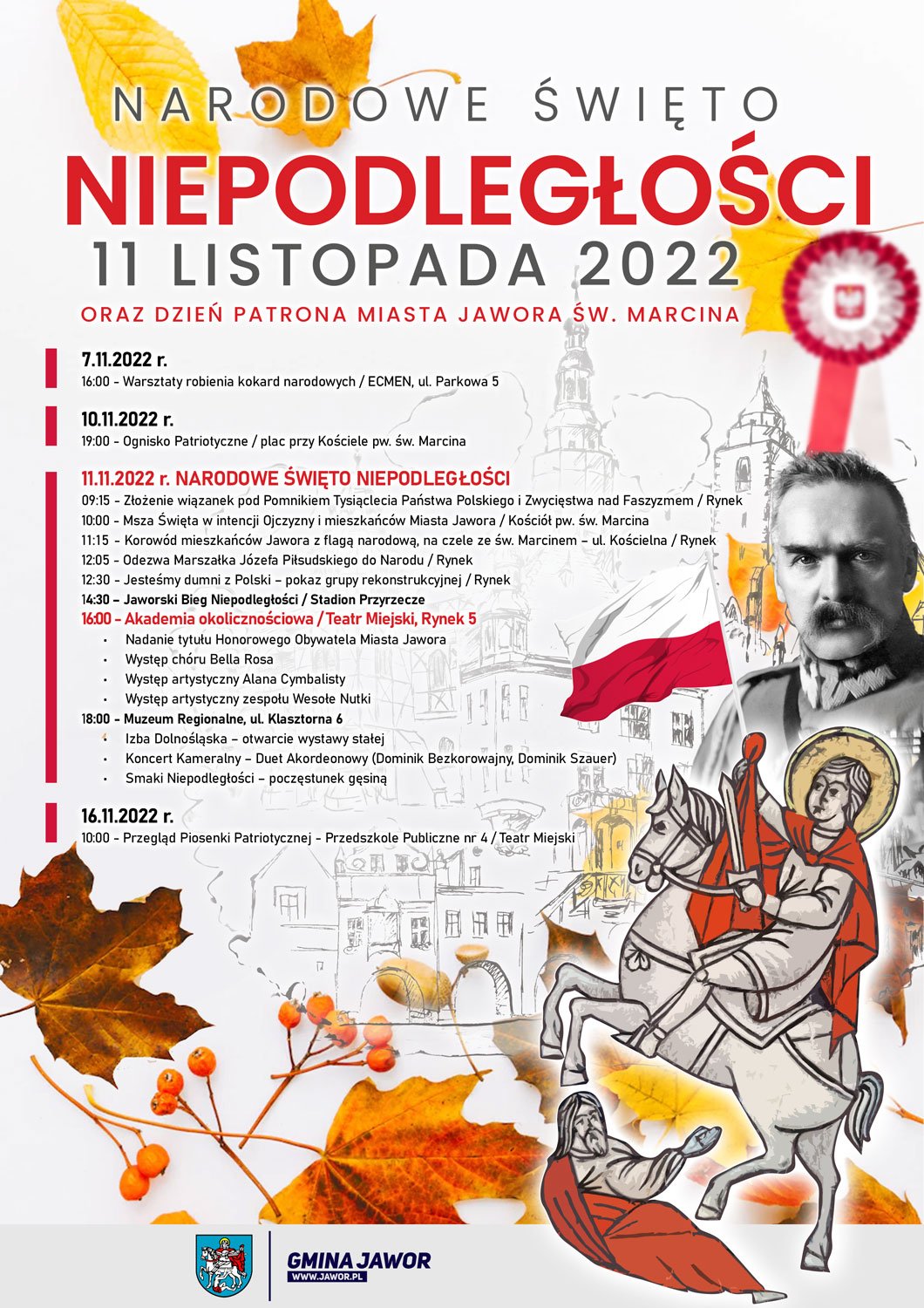obchody-swieta-niepodlegosci-110025